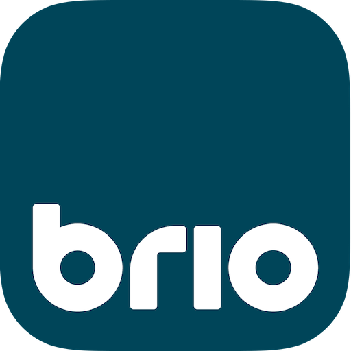Brio Leisure Logo